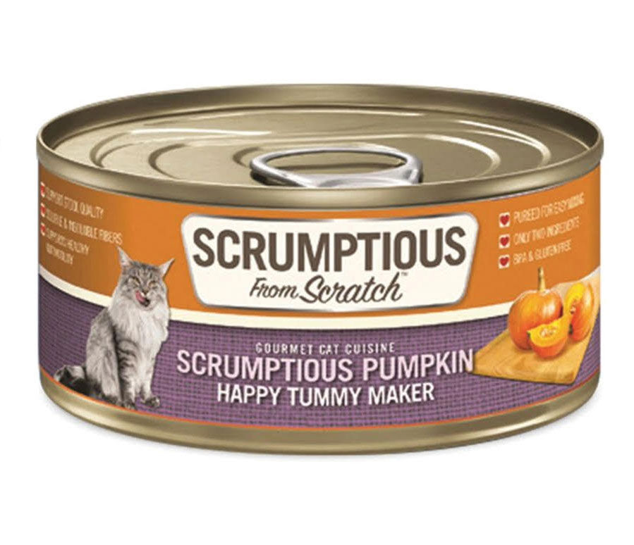 SustainableScrumptiousPumpkin.jpg